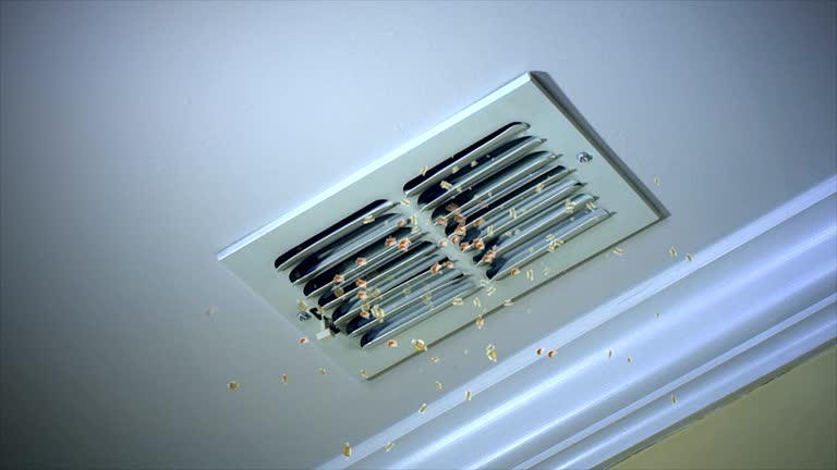 Best Air Duct Cleaning Near Me  in Rancho Santa Fe, CA